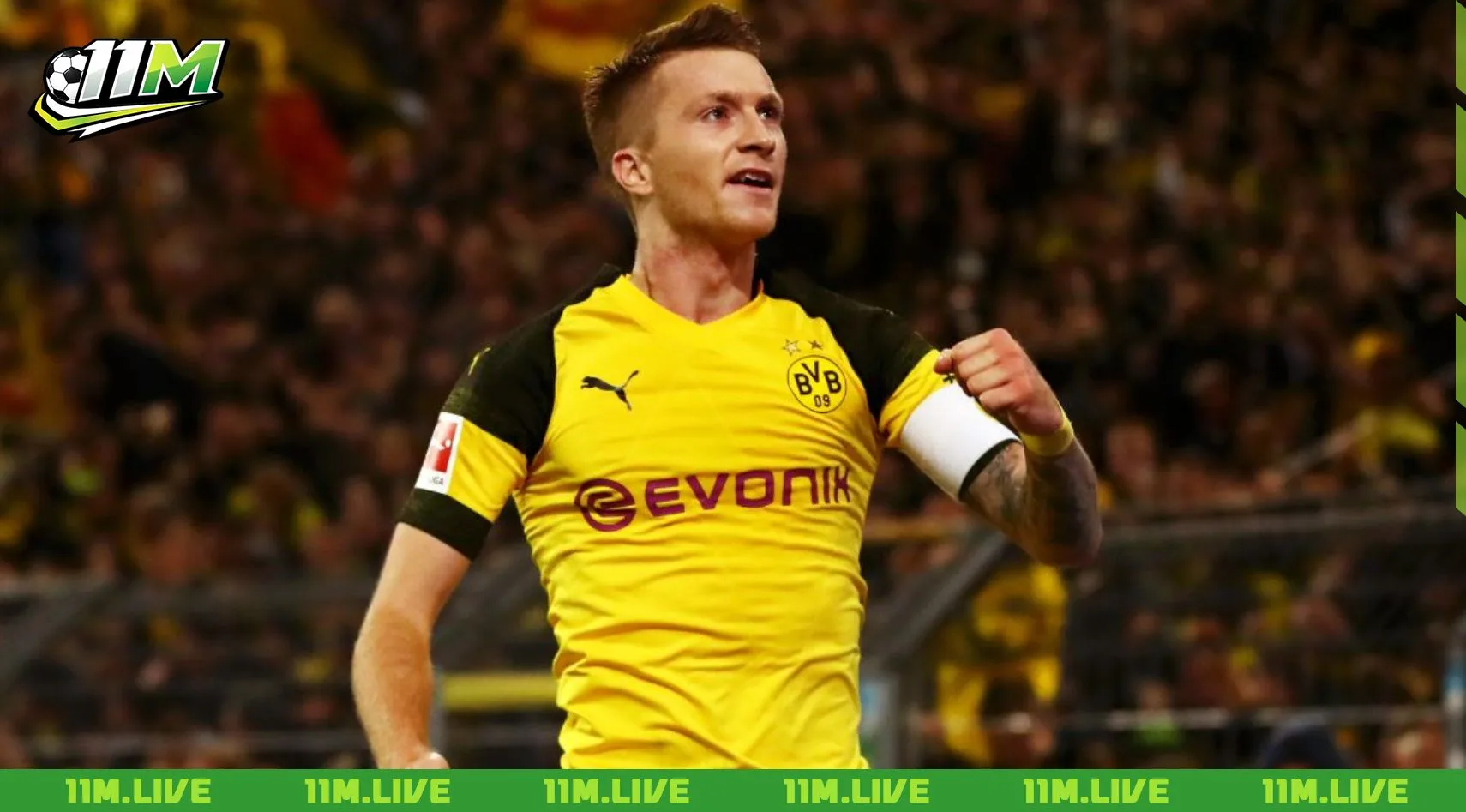 câu lạc bộ bóng đá borussia dortmund