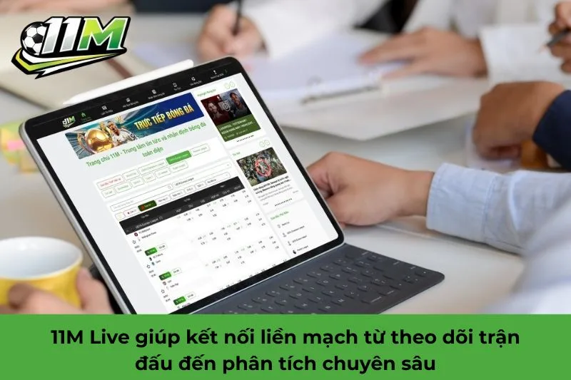 11M live l&agrave; g&igrave;