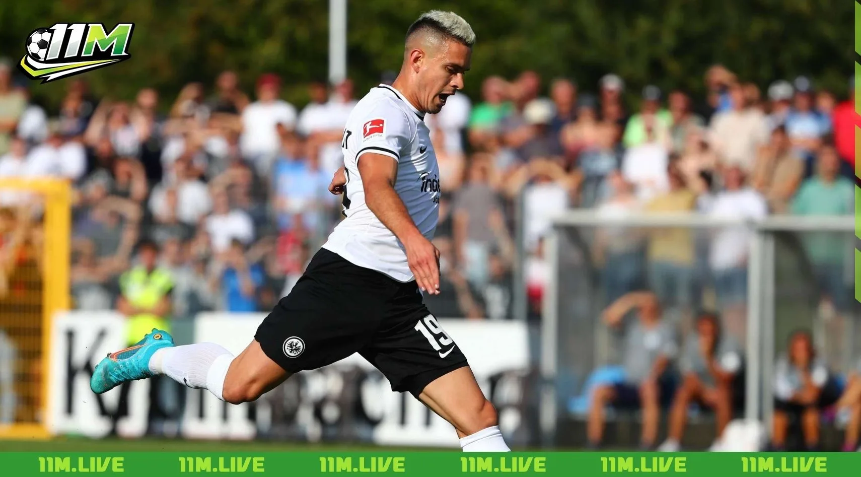 rafael santos borr&eacute; maury