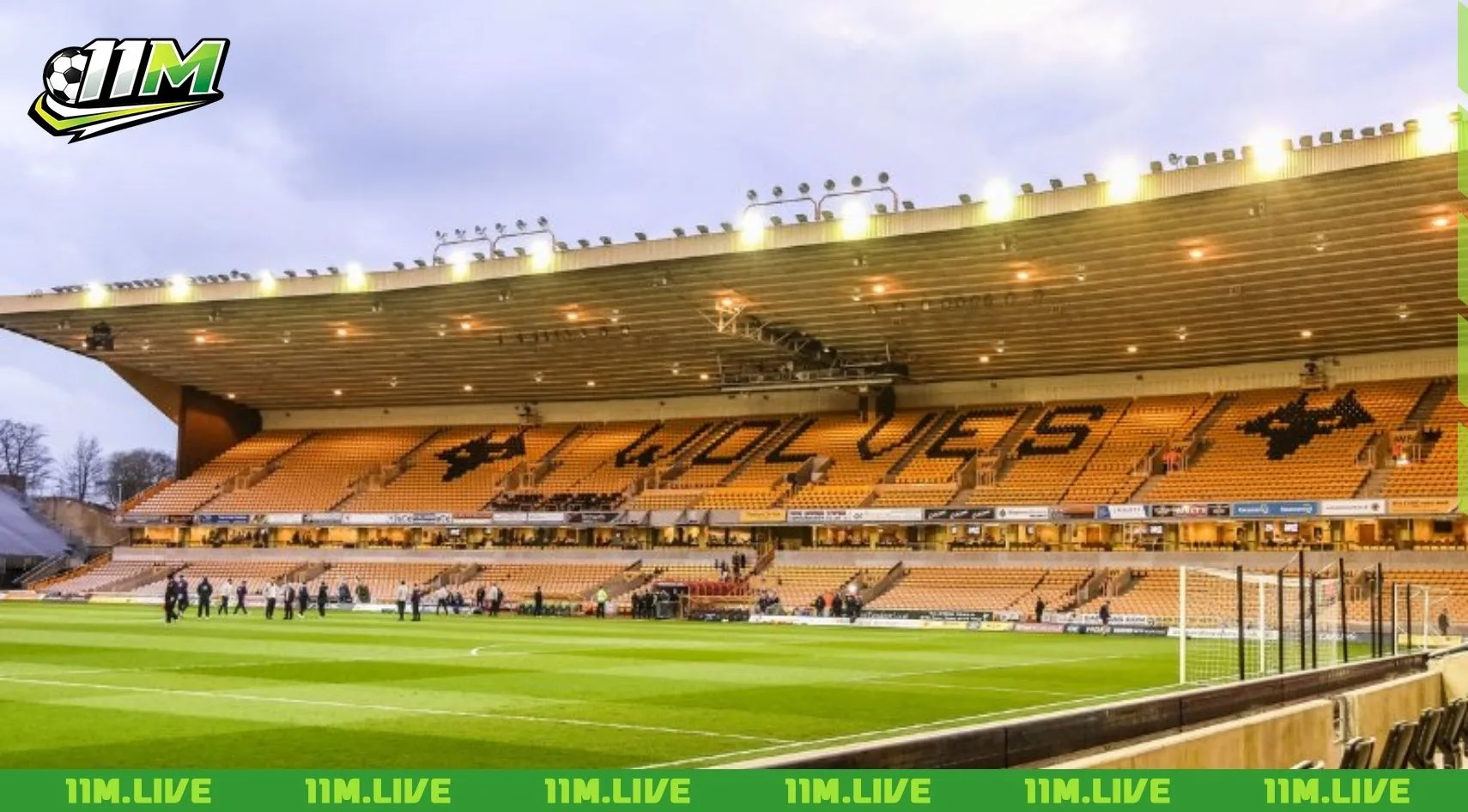 s&acirc;n vận động Molineux