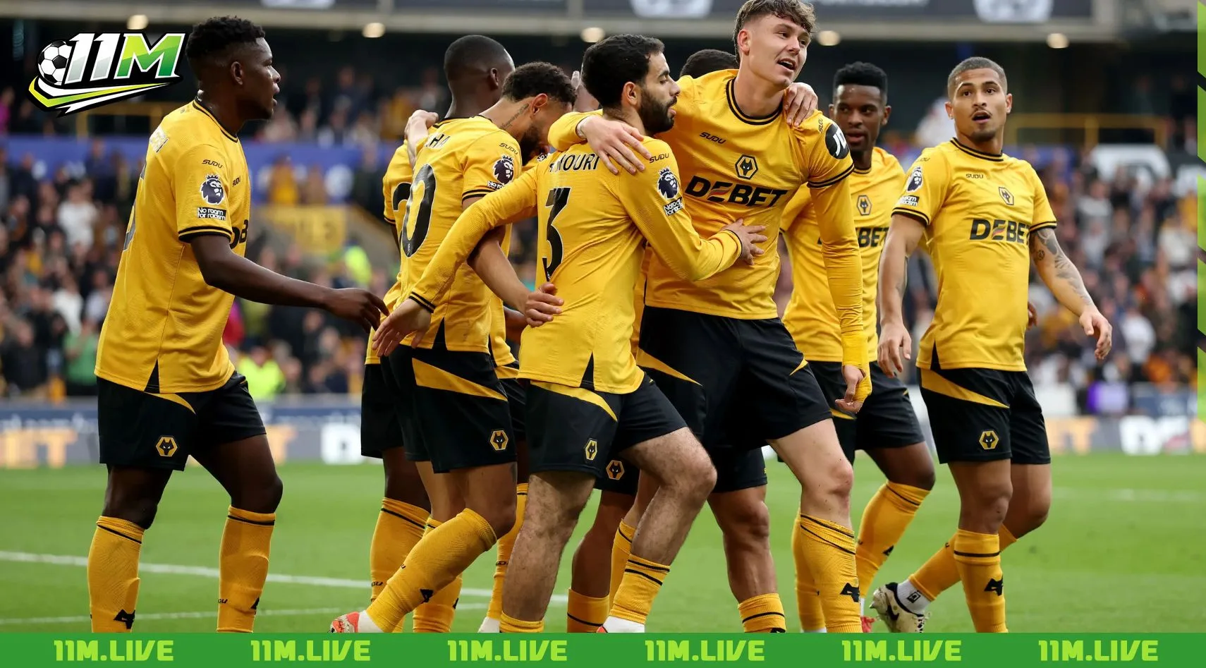 câu lạc bộ bóng đá wolverhampton wanderers