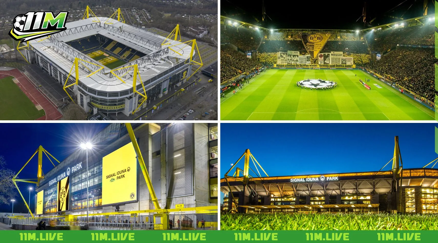 câu lạc bộ bóng đá borussia dortmund