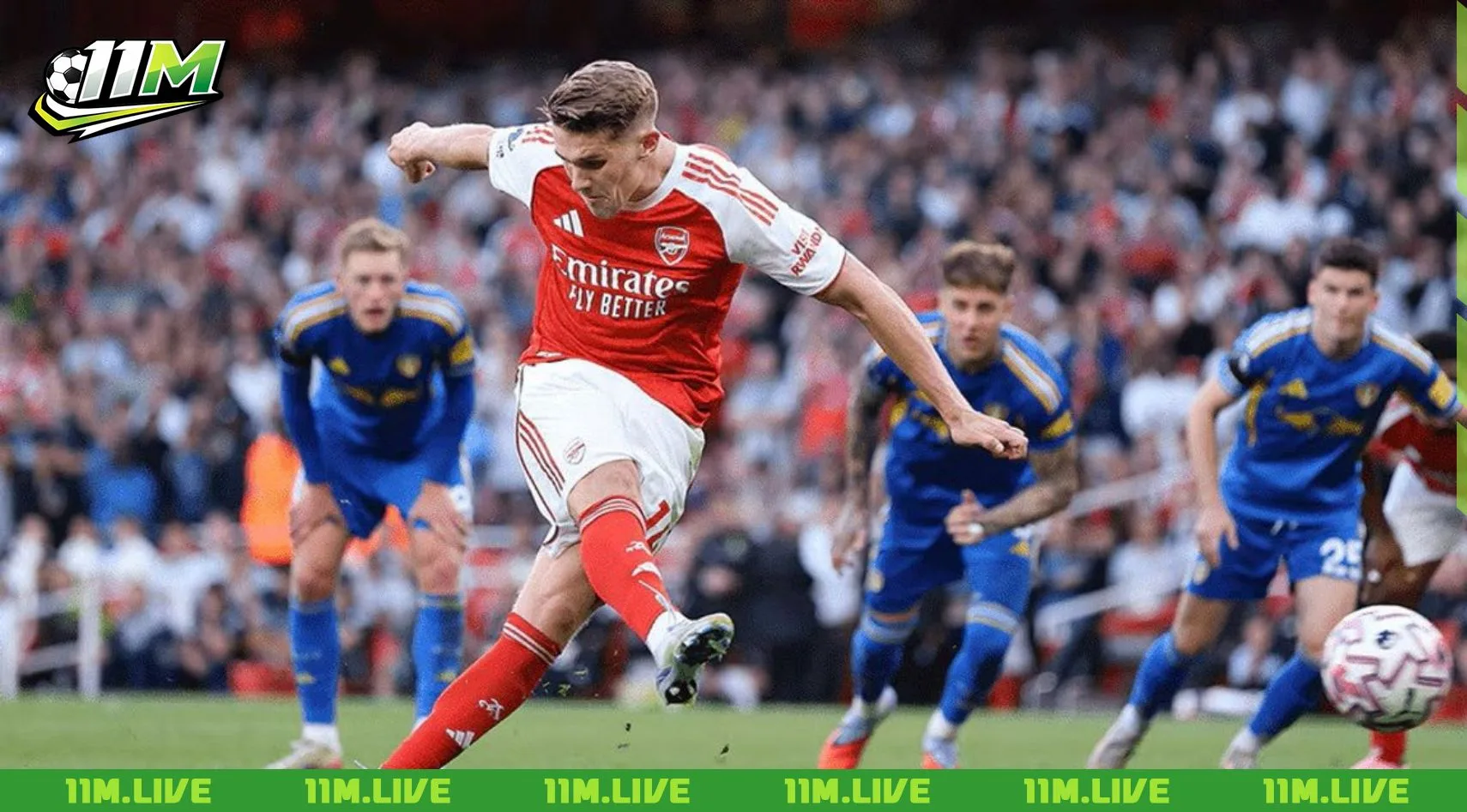 c&uacute; đ&uacute;p