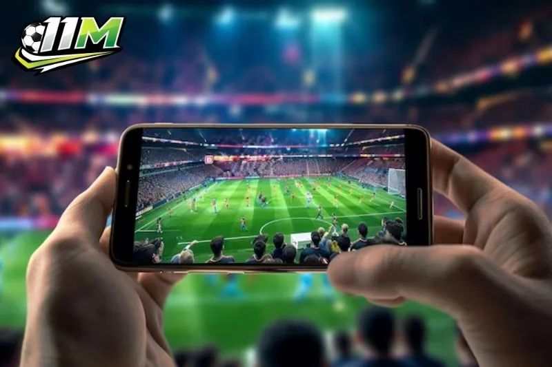 11M là gì