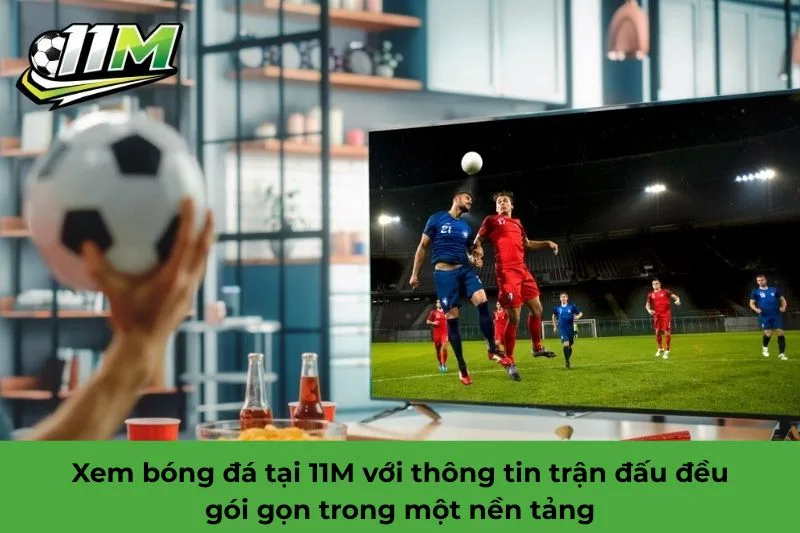 vì sao nên xem bóng đá tại 11M
