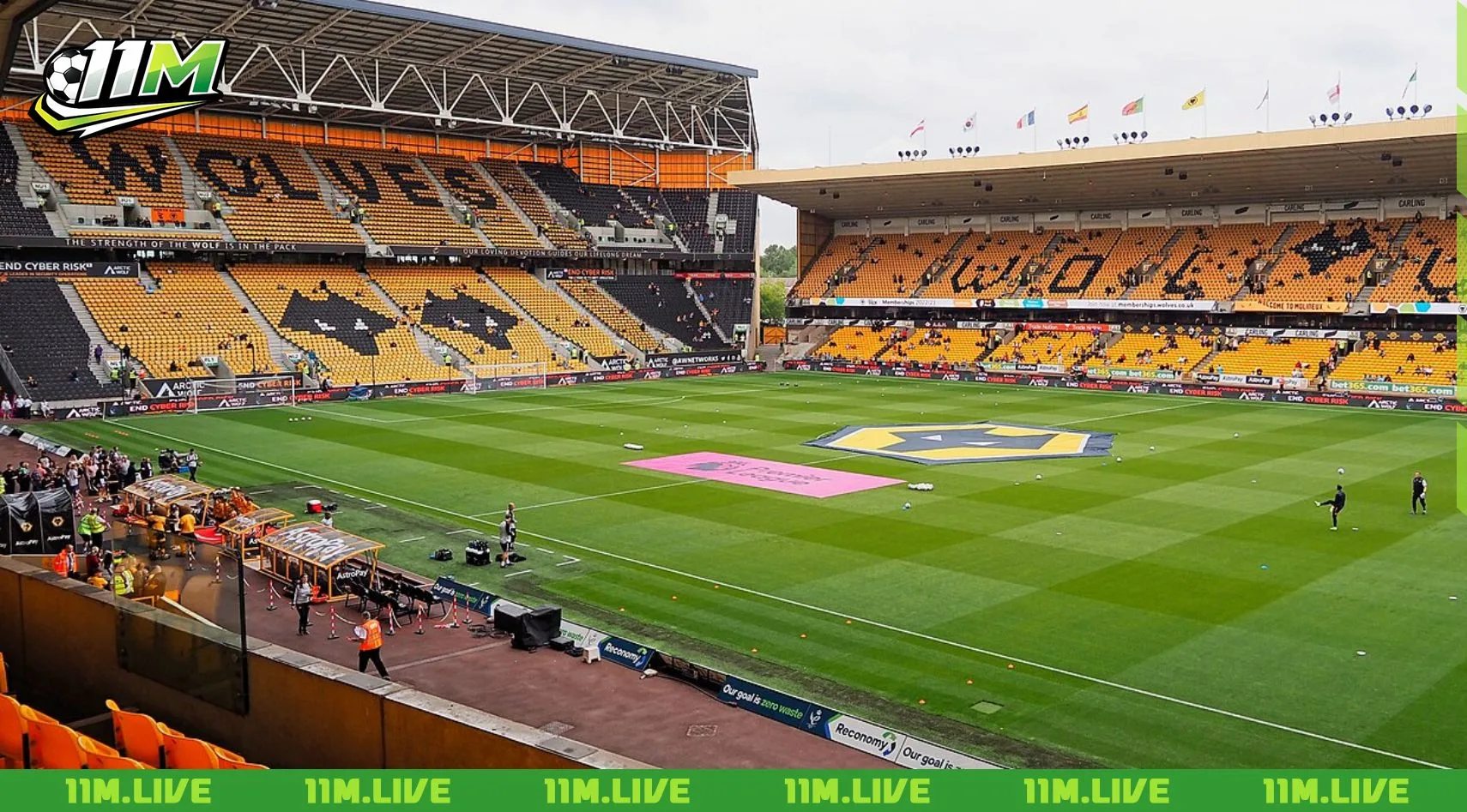 câu lạc bộ bóng đá wolverhampton wanderers